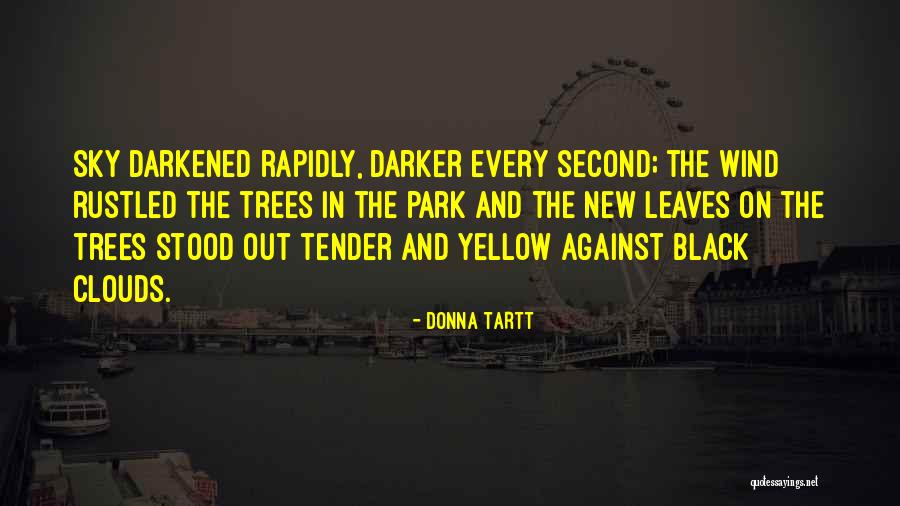 Programmierer Ausbildung Quotes By Donna Tartt Programmierer Ausbildung Quotes By Donna Tartt