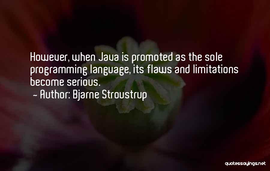 Programming In Java Quotes By Bjarne Stroustrup