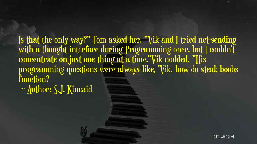 Programming Interface Quotes By S.J. Kincaid