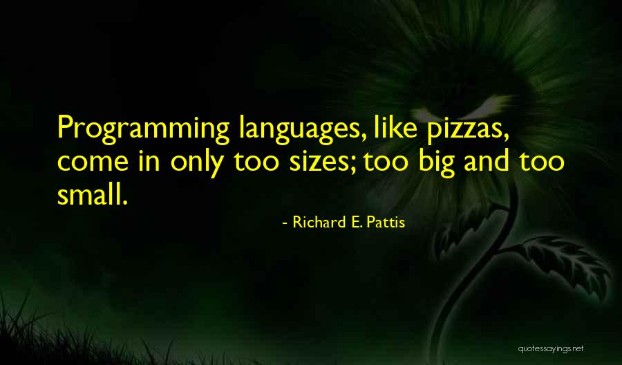 Programming Language Quotes By Richard E. Pattis Programming Language Quotes By Richard E. Pattis
