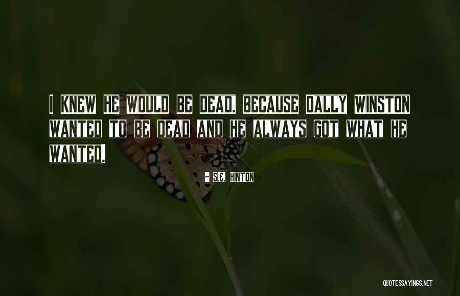Progresif Plan Quotes By S.E. Hinton Progresif Plan Quotes By S.E. Hinton