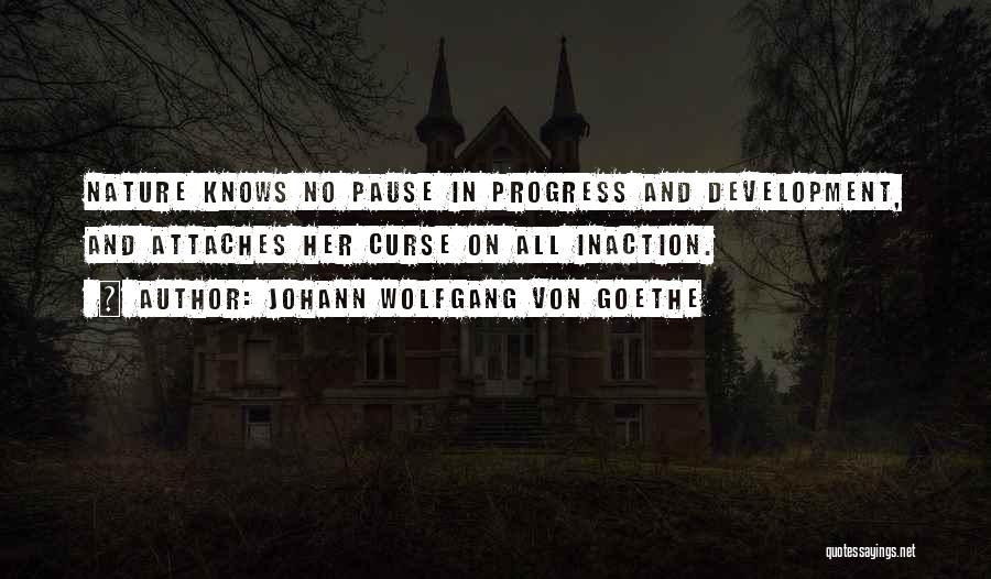 Progress And Development Quotes By Johann Wolfgang Von Goethe