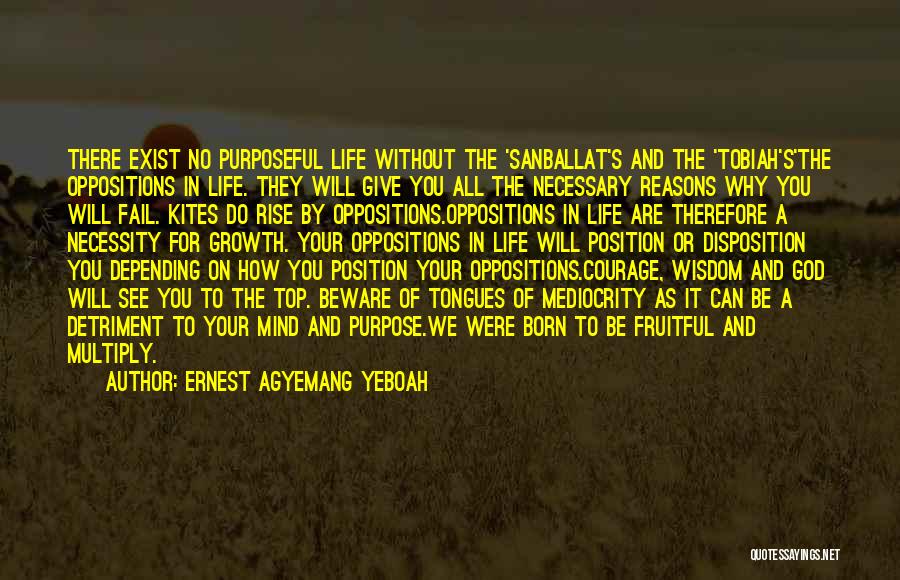 Progress And Growth Quotes By Ernest Agyemang Yeboah