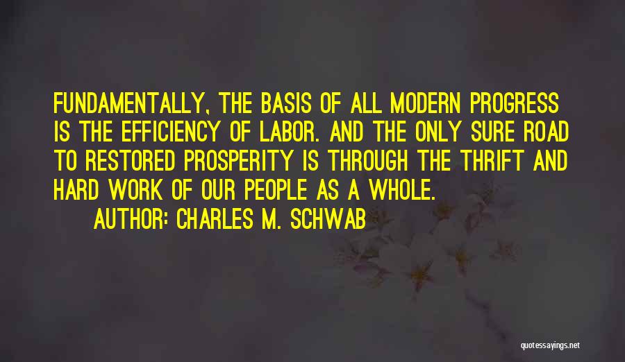 Progress And Hard Work Quotes By Charles M. Schwab