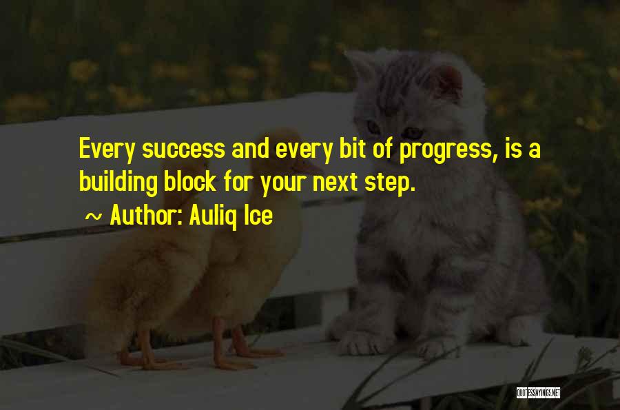 Progress And Success Quotes By Auliq Ice