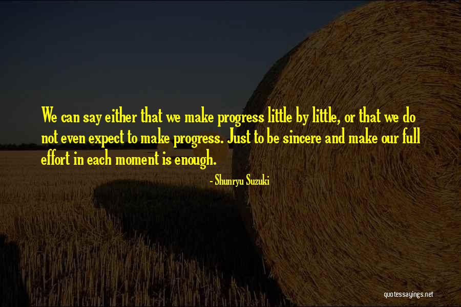 Progress Effort Quotes By Shunryu Suzuki Progress Effort Quotes By Shunryu Suzuki