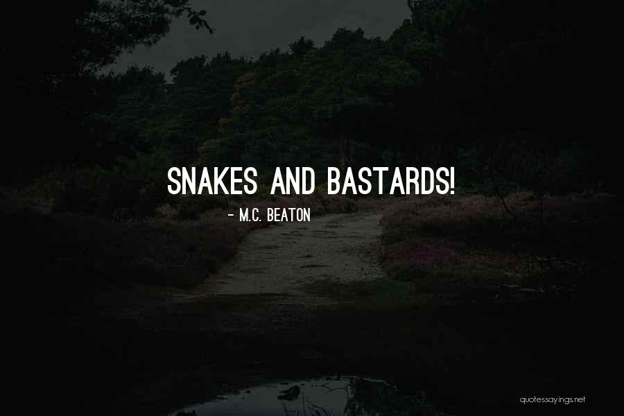 Progress In Different Forms Quotes By M.C. Beaton Progress In Different Forms Quotes By M.C. Beaton