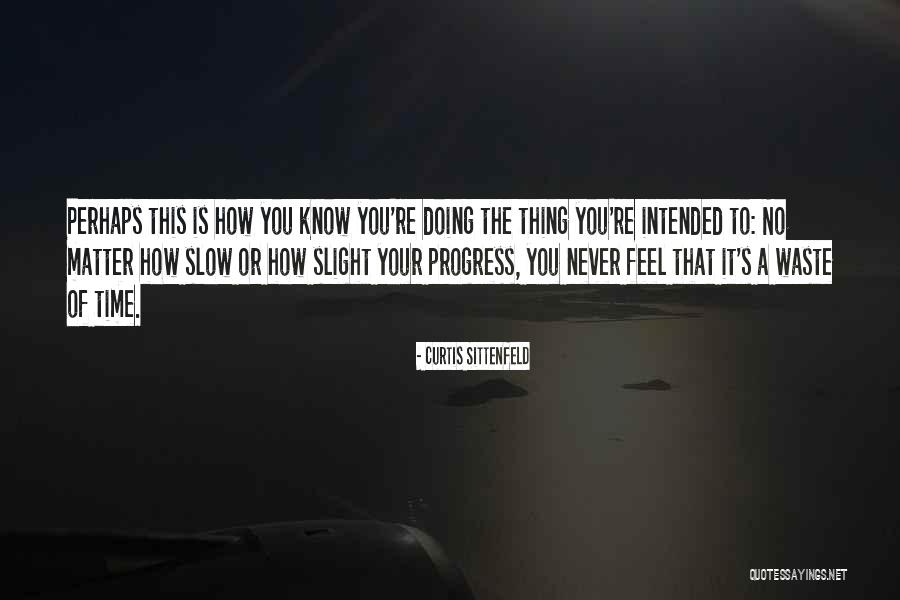 Progress Is Slow Quotes By Curtis Sittenfeld