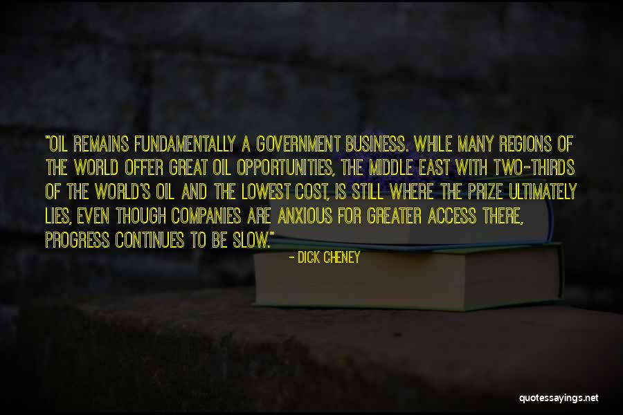 Progress Is Slow Quotes By Dick Cheney