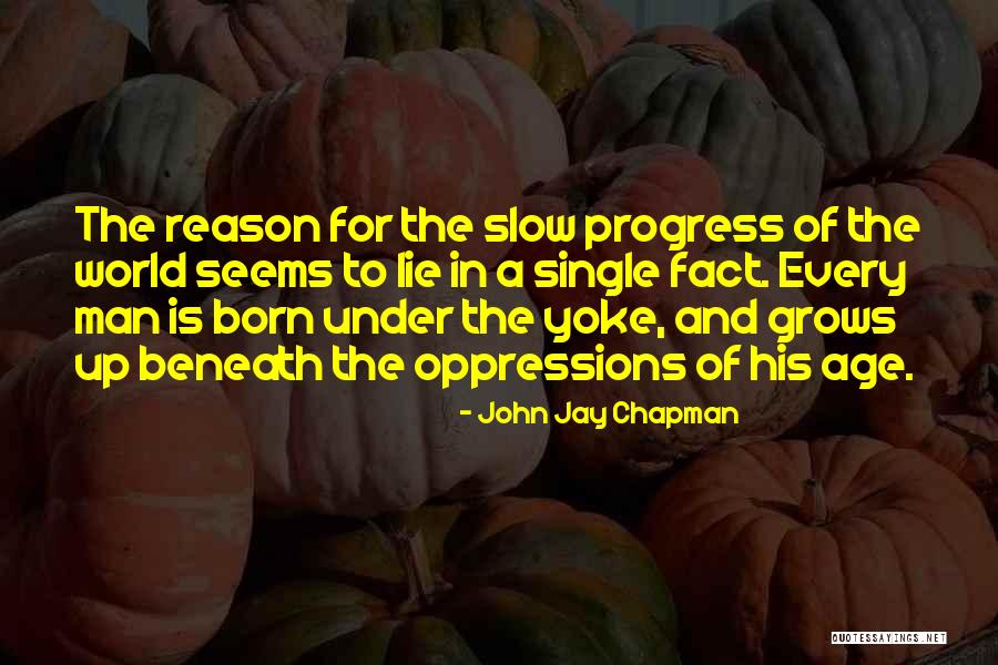 Progress Is Slow Quotes By John Jay Chapman