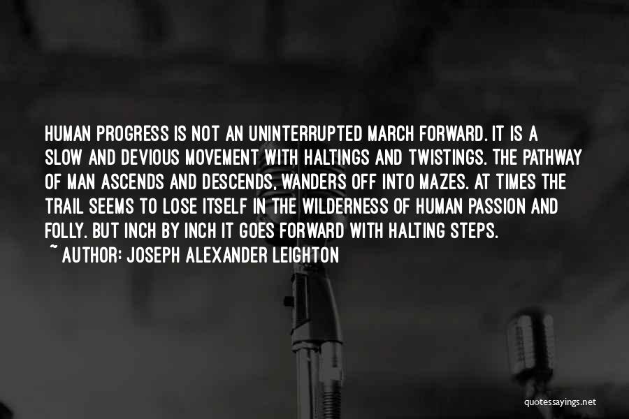 Progress Is Slow Quotes By Joseph Alexander Leighton