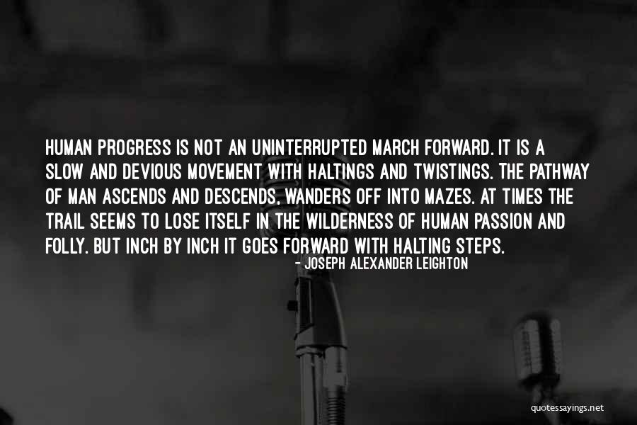 Progress Is Slow Quotes By Joseph Alexander Leighton