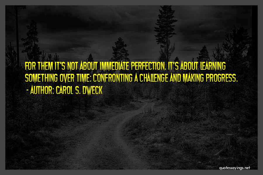 Progress Not Perfection Quotes By Carol S. Dweck