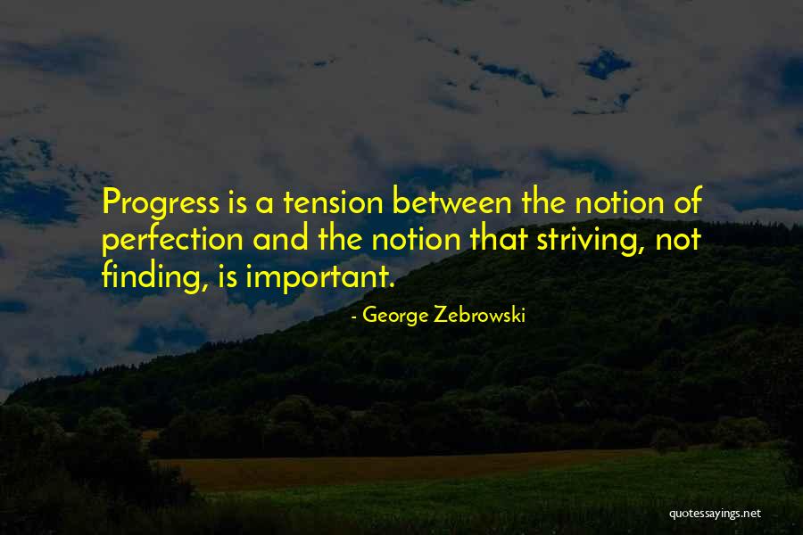 Progress Not Perfection Quotes By George Zebrowski