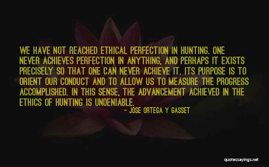 Progress Not Perfection Quotes By Jose Ortega Y Gasset