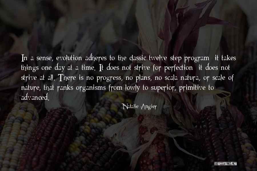 Progress Not Perfection Quotes By Natalie Angier