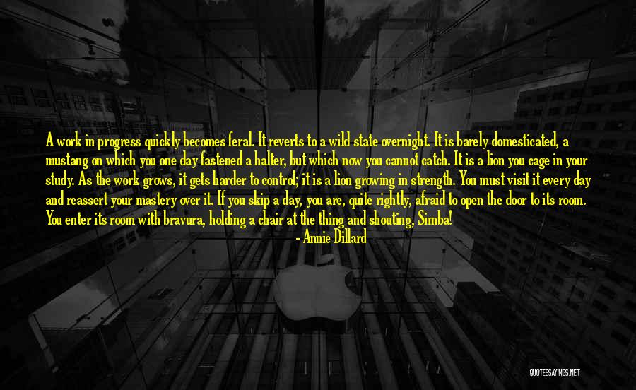 Progress Self Mastery Quotes By Annie Dillard Progress Self Mastery Quotes By Annie Dillard