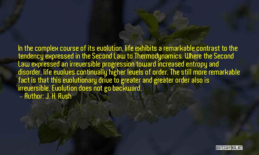 Progression In Life Quotes By J. H. Rush