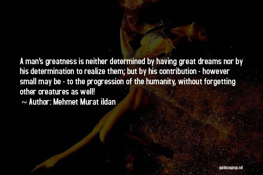 Progression Quotes By Mehmet Murat Ildan