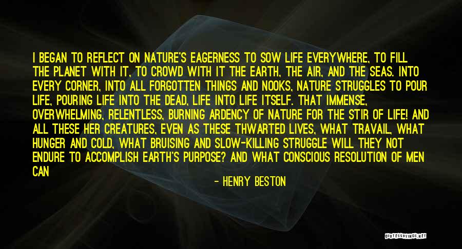 Progressive Era Prohibition Quotes By Henry Beston Progressive Era Prohibition Quotes By Henry Beston