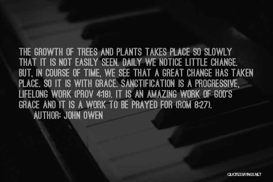 Progressive Sanctification Quotes By John Owen