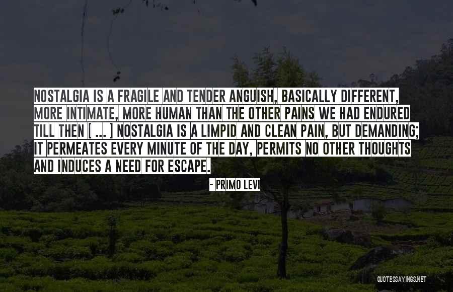Progressiveness Of India Quotes By Primo Levi Progressiveness Of India Quotes By Primo Levi