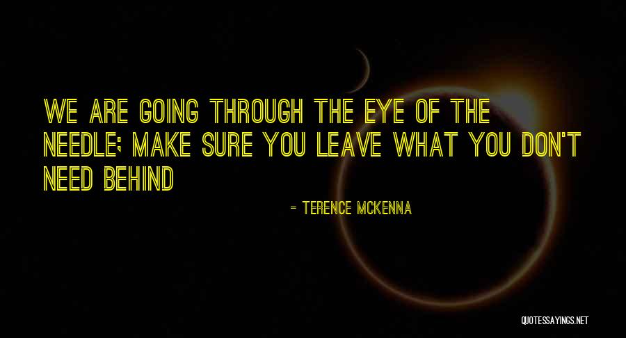 Proizvoljan Vektor Quotes By Terence McKenna Proizvoljan Vektor Quotes By Terence McKenna