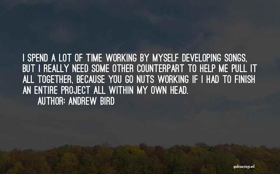 Project Go-live Quotes By Andrew Bird