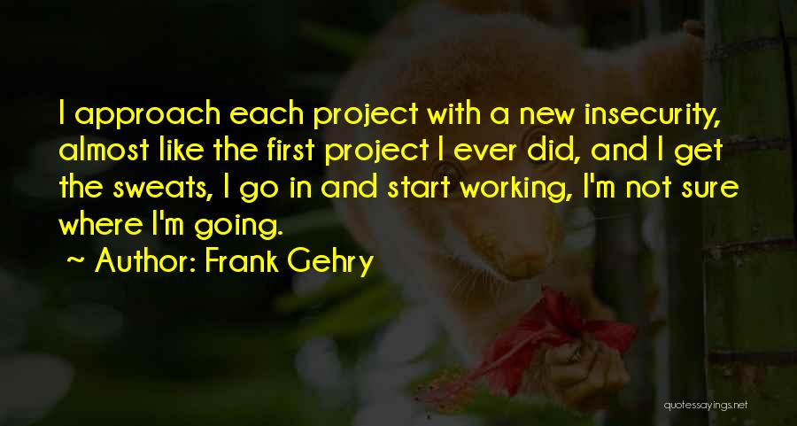 Project Go-live Quotes By Frank Gehry