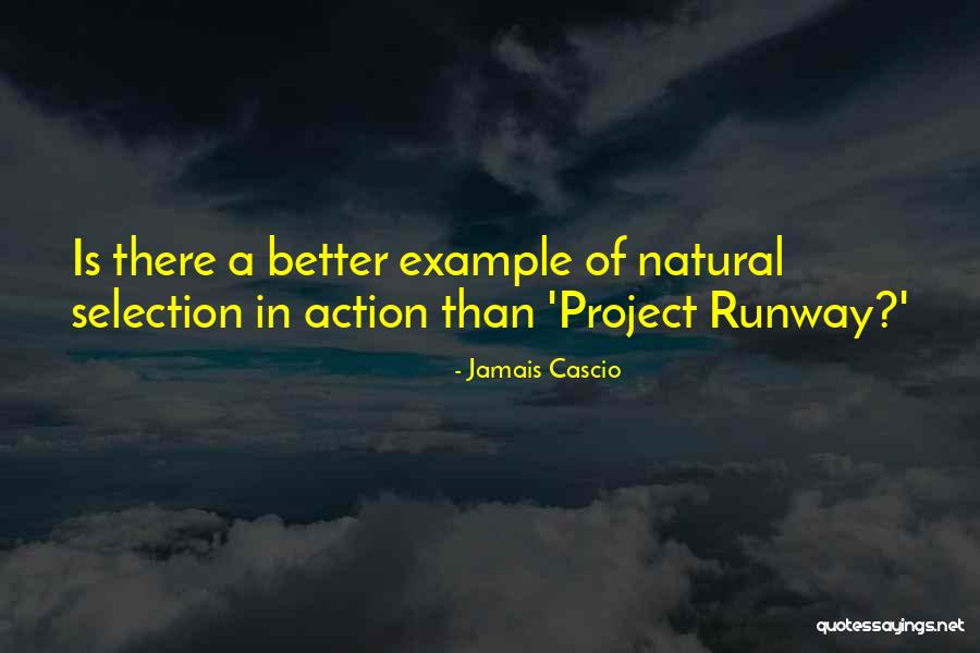 Project Runway Quotes By Jamais Cascio Project Runway Quotes By Jamais Cascio