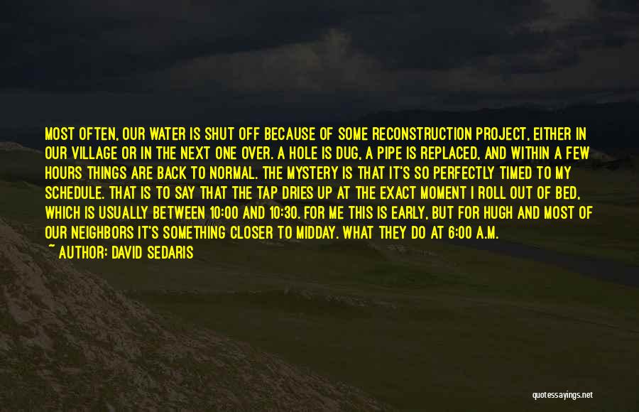 Project Schedule Quotes By David Sedaris