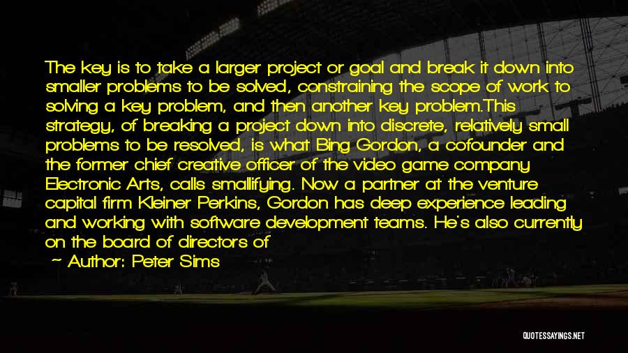 Project Teams Quotes By Peter Sims