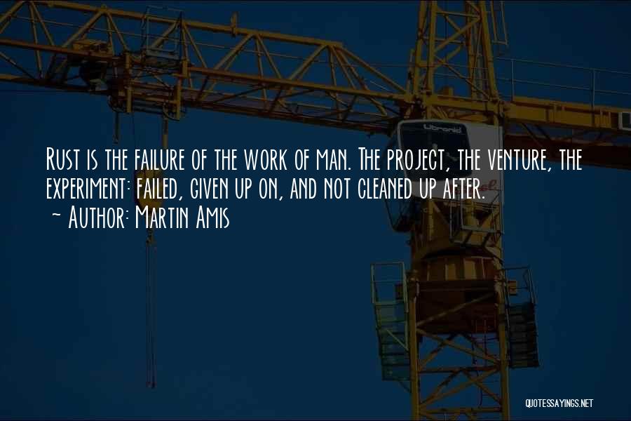 Project Work Quotes By Martin Amis