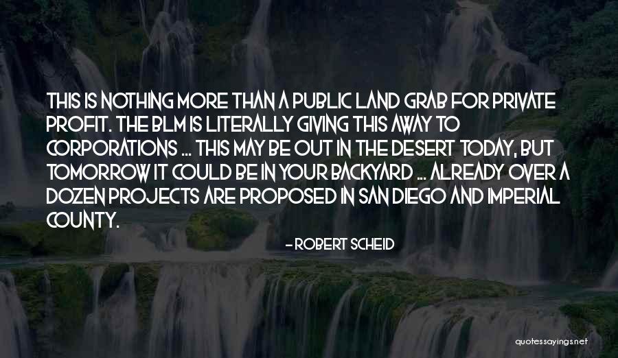 Projects Quotes By Robert Scheid