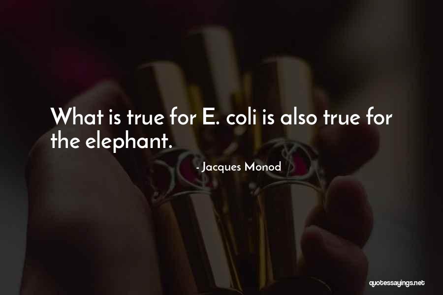Prokopp Donauzentrum Quotes By Jacques Monod Prokopp Donauzentrum Quotes By Jacques Monod