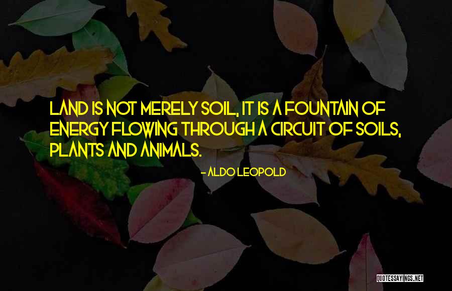 Proleter Wikipedia Quotes By Aldo Leopold Proleter Wikipedia Quotes By Aldo Leopold