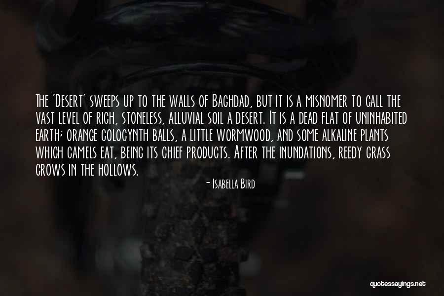 Prolixity Def Quotes By Isabella Bird Prolixity Def Quotes By Isabella Bird