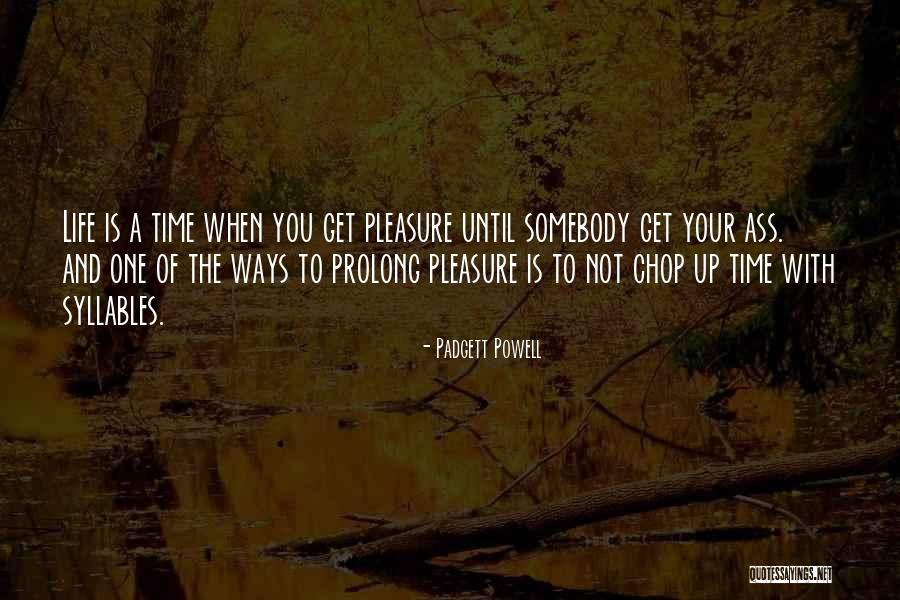 Prolong Life Quotes By Padgett Powell Prolong Life Quotes By Padgett Powell