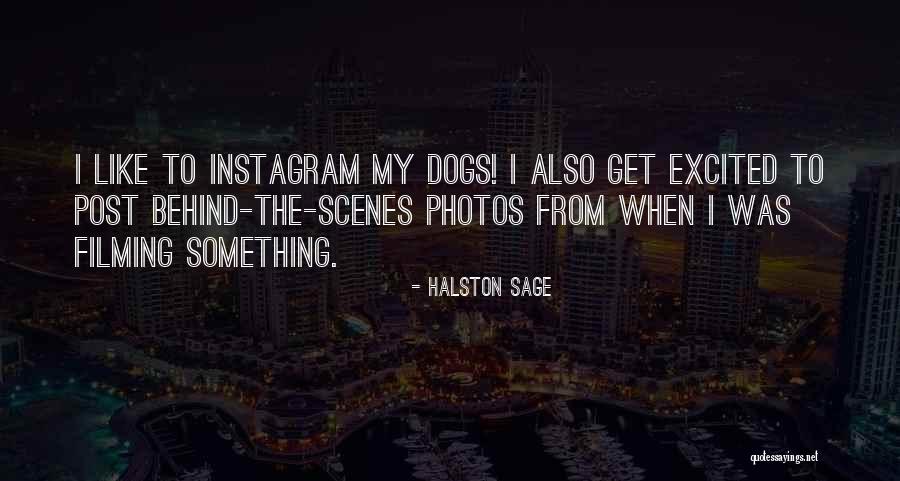 Prometido Y Quotes By Halston Sage Prometido Y Quotes By Halston Sage