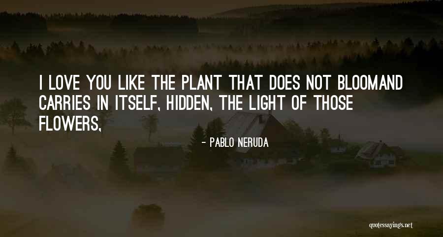 Promiscuidad Sinonimo Quotes By Pablo Neruda Promiscuidad Sinonimo Quotes By Pablo Neruda