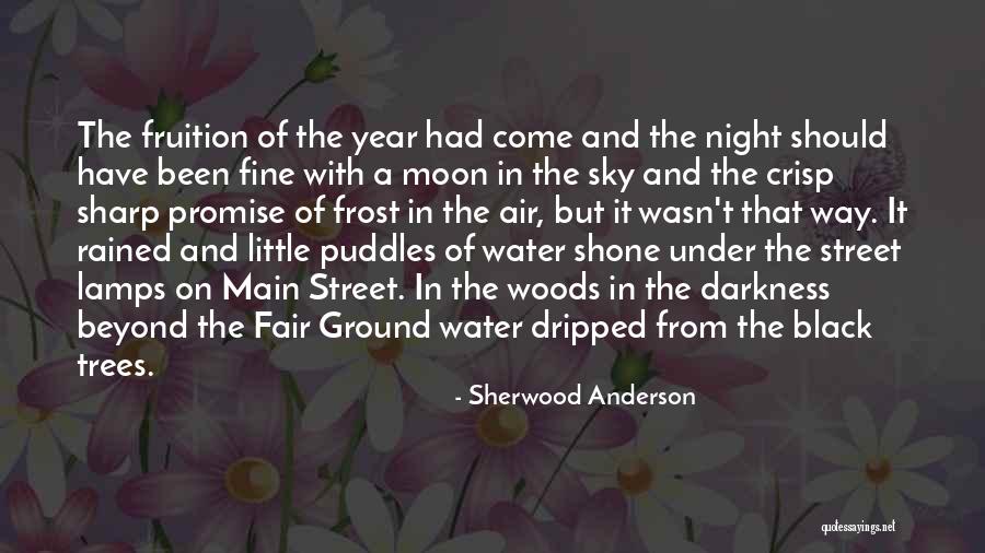 Promise Me Darkness Quotes By Sherwood Anderson