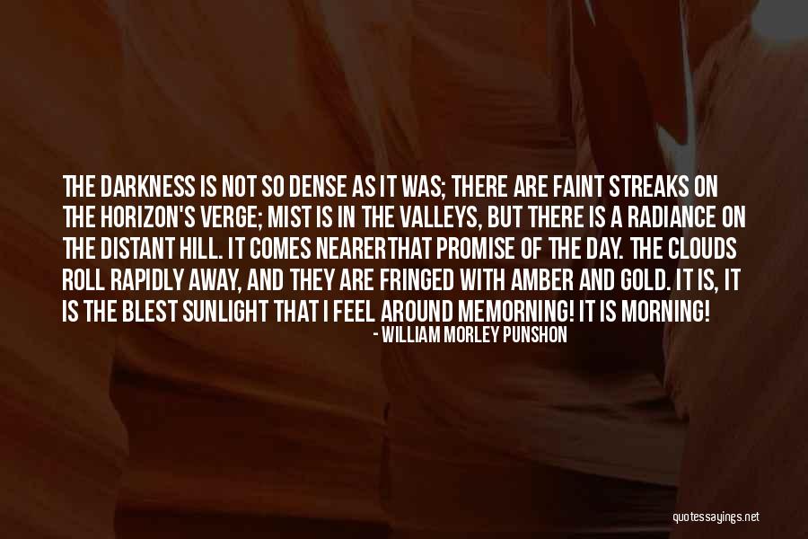 Promise Me Darkness Quotes By William Morley Punshon