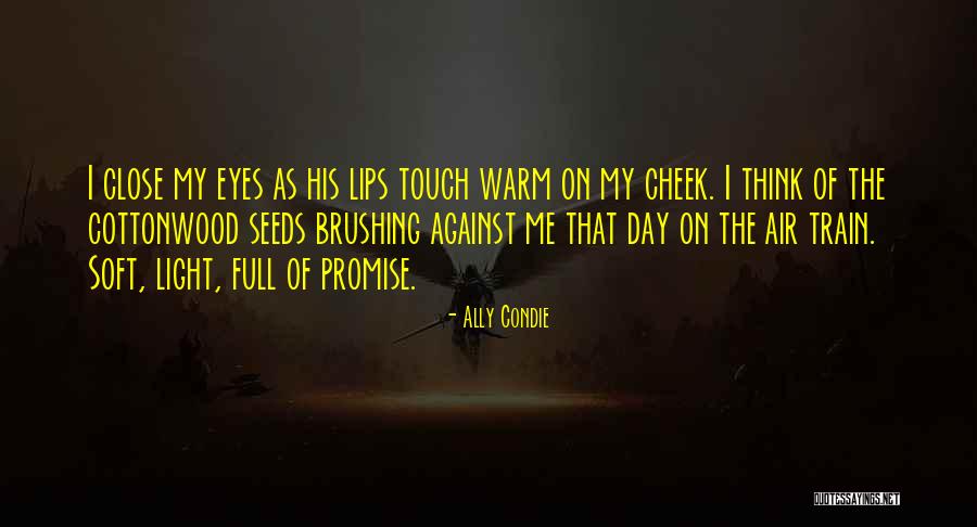 Promise Me Light Quotes By Ally Condie