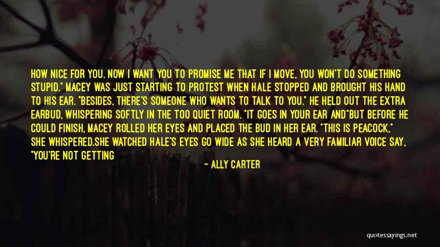 Promise Me Something Quotes By Ally Carter Promise Me Something Quotes By Ally Carter