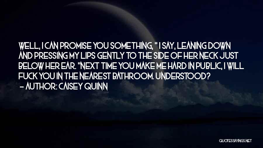 Promise Me Something Quotes By Caisey Quinn