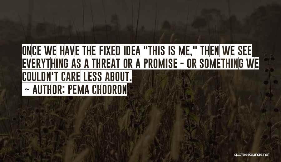 Promise Me Something Quotes By Pema Chodron