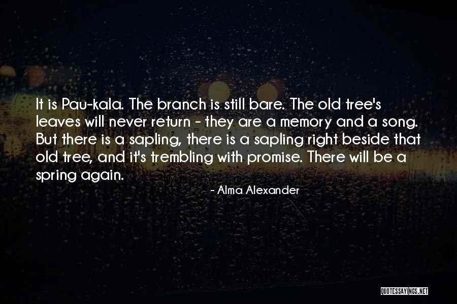 Promise The Song Quotes By Alma Alexander Promise The Song Quotes By Alma Alexander