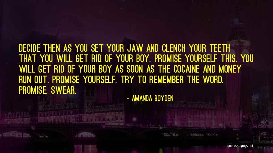Promise Then Quotes By Amanda Boyden