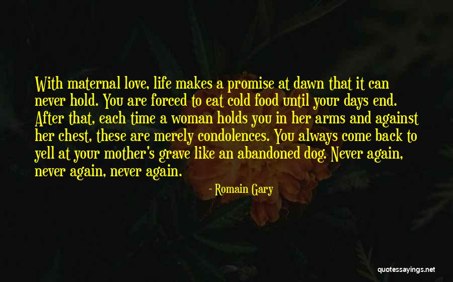 Promise To Always Love You Quotes By Romain Gary