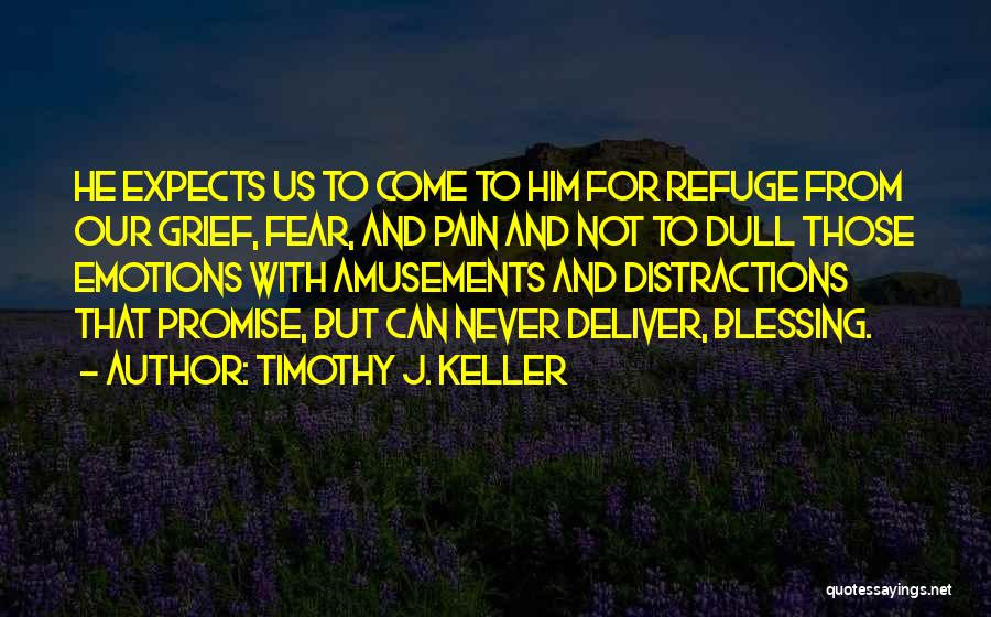 Promise To Deliver Quotes By Timothy J. Keller